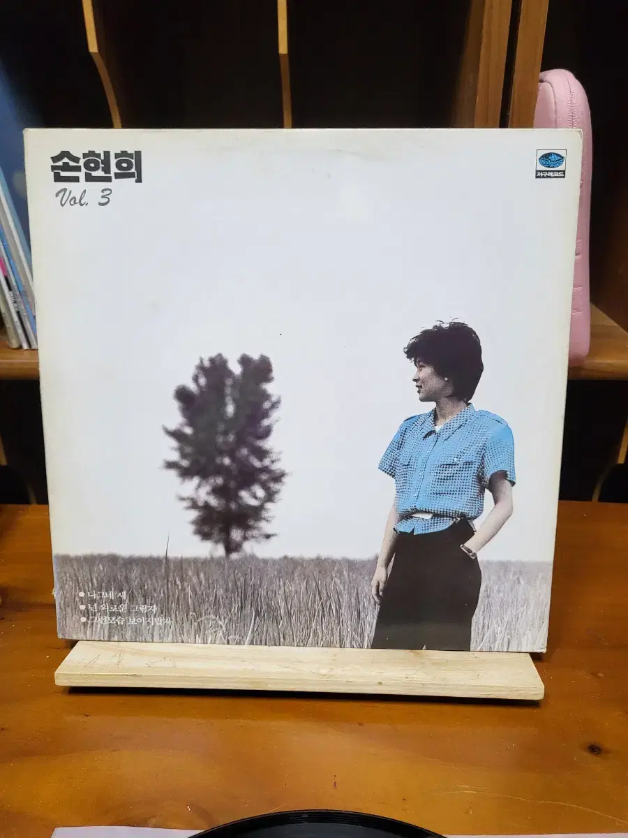 손현희 LP